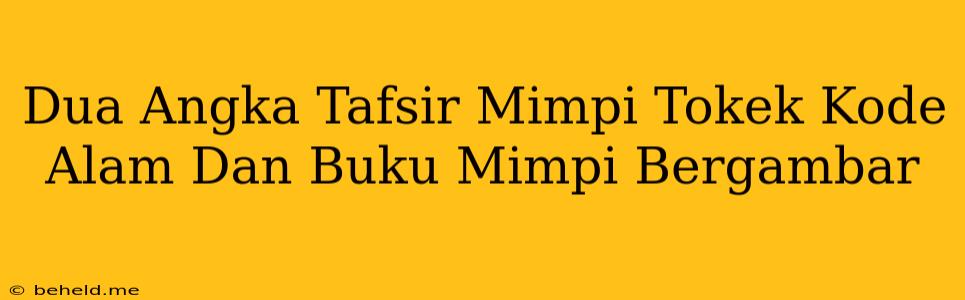 Dua Angka Tafsir Mimpi Tokek Kode Alam Dan Buku Mimpi Bergambar