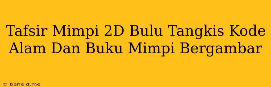 Tafsir Mimpi 2D Bulu Tangkis Kode Alam Dan Buku Mimpi Bergambar