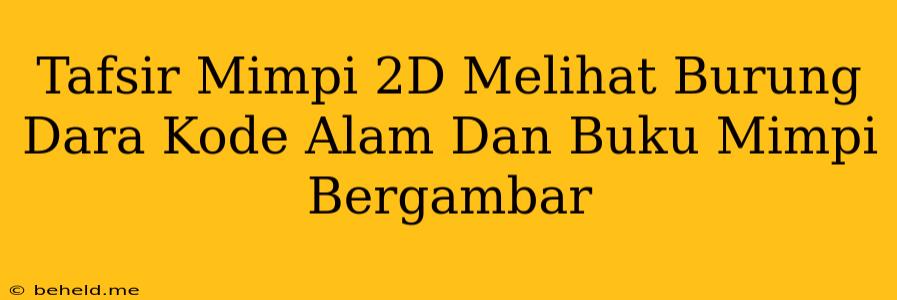 Tafsir Mimpi 2D Melihat Burung Dara Kode Alam Dan Buku Mimpi Bergambar