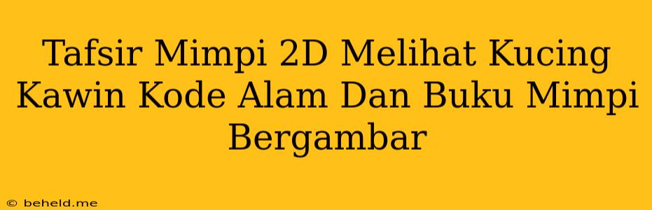 Tafsir Mimpi 2D Melihat Kucing Kawin Kode Alam Dan Buku Mimpi Bergambar