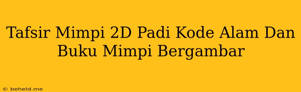 Tafsir Mimpi 2D Padi Kode Alam Dan Buku Mimpi Bergambar