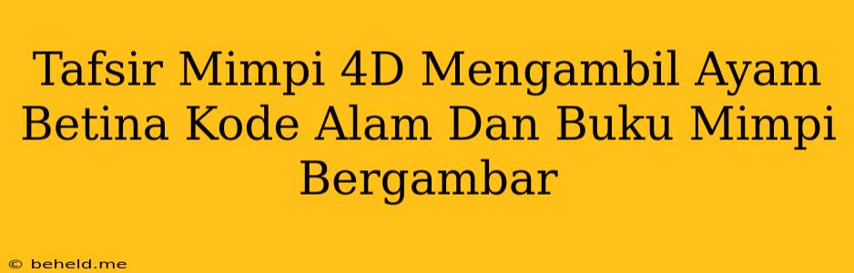 Tafsir Mimpi 4D Mengambil Ayam Betina Kode Alam Dan Buku Mimpi Bergambar