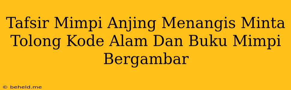 Tafsir Mimpi Anjing Menangis Minta Tolong Kode Alam Dan Buku Mimpi Bergambar