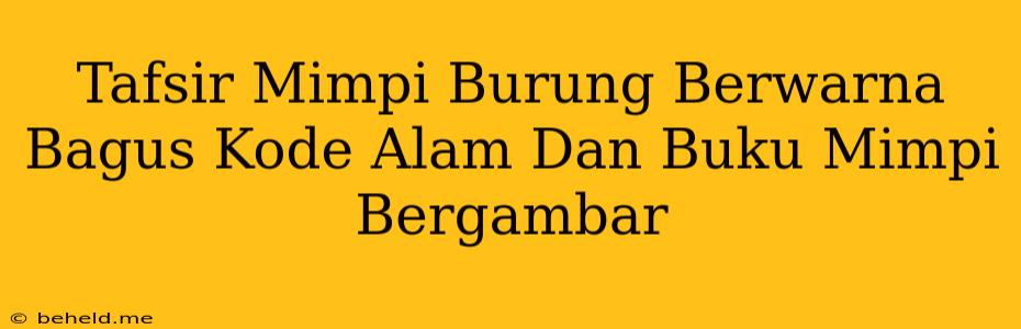 Tafsir Mimpi Burung Berwarna Bagus Kode Alam Dan Buku Mimpi Bergambar