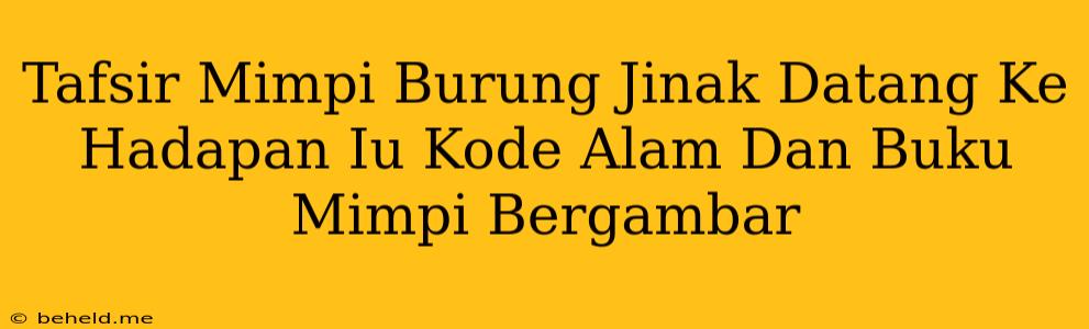 Tafsir Mimpi Burung Jinak Datang Ke Hadapan Iu Kode Alam Dan Buku Mimpi Bergambar