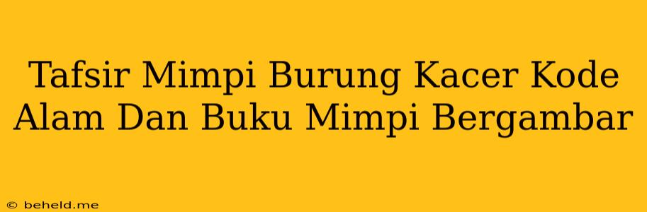 Tafsir Mimpi Burung Kacer Kode Alam Dan Buku Mimpi Bergambar