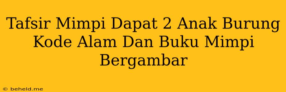 Tafsir Mimpi Dapat 2 Anak Burung Kode Alam Dan Buku Mimpi Bergambar