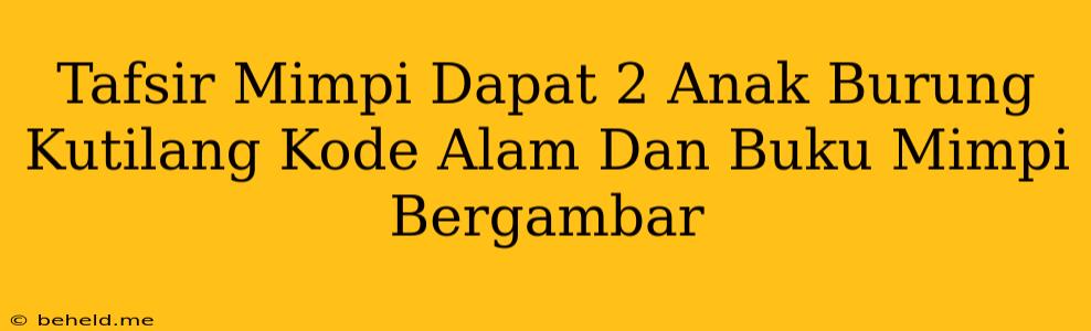 Tafsir Mimpi Dapat 2 Anak Burung Kutilang Kode Alam Dan Buku Mimpi Bergambar