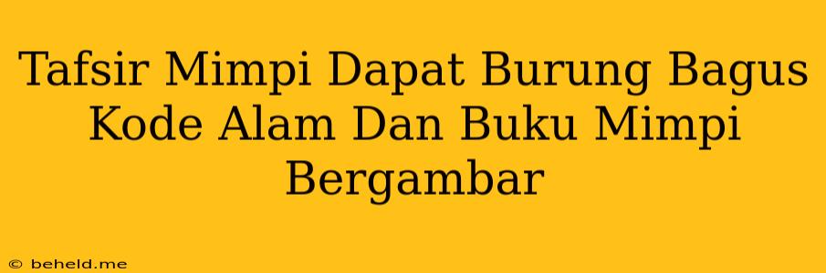 Tafsir Mimpi Dapat Burung Bagus Kode Alam Dan Buku Mimpi Bergambar