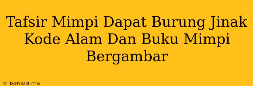 Tafsir Mimpi Dapat Burung Jinak Kode Alam Dan Buku Mimpi Bergambar