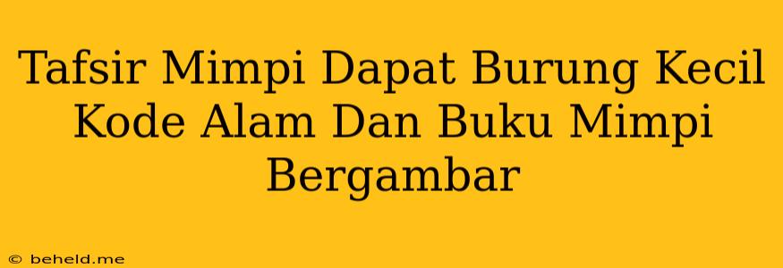 Tafsir Mimpi Dapat Burung Kecil Kode Alam Dan Buku Mimpi Bergambar