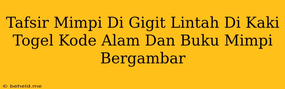 Tafsir Mimpi Di Gigit Lintah Di Kaki Togel Kode Alam Dan Buku Mimpi Bergambar