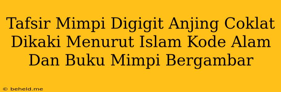 Tafsir Mimpi Digigit Anjing Coklat Dikaki Menurut Islam Kode Alam Dan Buku Mimpi Bergambar