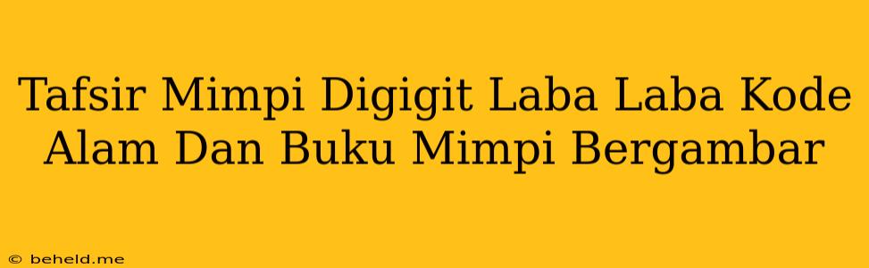 Tafsir Mimpi Digigit Laba Laba Kode Alam Dan Buku Mimpi Bergambar