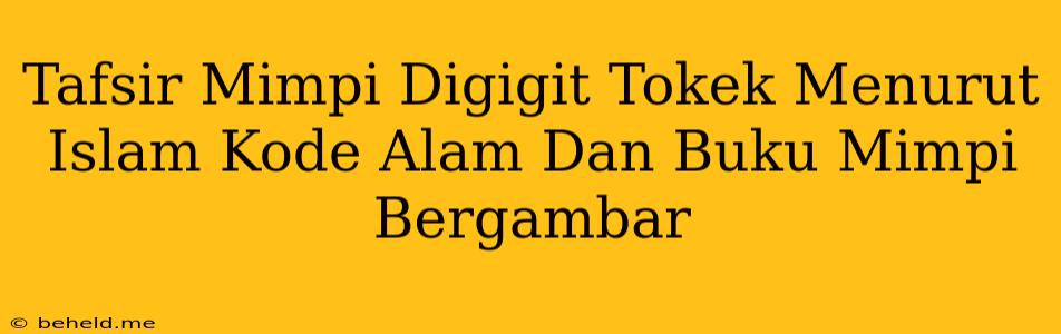 Tafsir Mimpi Digigit Tokek Menurut Islam Kode Alam Dan Buku Mimpi Bergambar