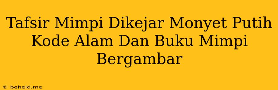 Tafsir Mimpi Dikejar Monyet Putih Kode Alam Dan Buku Mimpi Bergambar