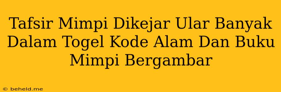 Tafsir Mimpi Dikejar Ular Banyak Dalam Togel Kode Alam Dan Buku Mimpi Bergambar