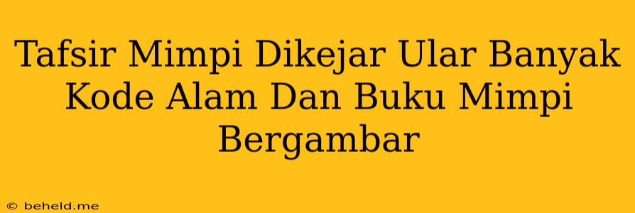 Tafsir Mimpi Dikejar Ular Banyak Kode Alam Dan Buku Mimpi Bergambar