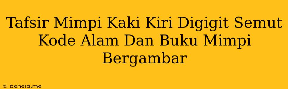 Tafsir Mimpi Kaki Kiri Digigit Semut Kode Alam Dan Buku Mimpi Bergambar