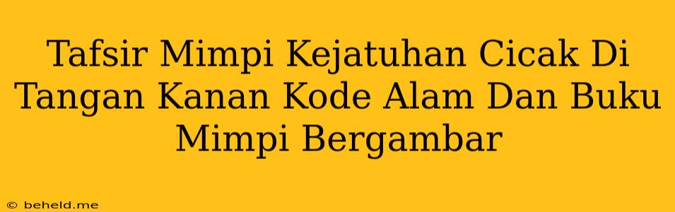 Tafsir Mimpi Kejatuhan Cicak Di Tangan Kanan Kode Alam Dan Buku Mimpi Bergambar