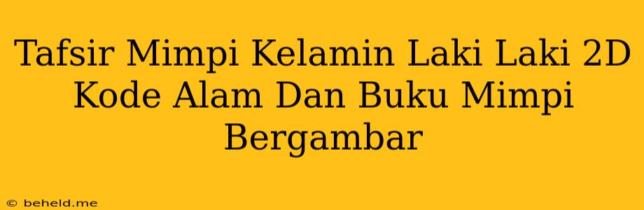 Tafsir Mimpi Kelamin Laki Laki 2D Kode Alam Dan Buku Mimpi Bergambar