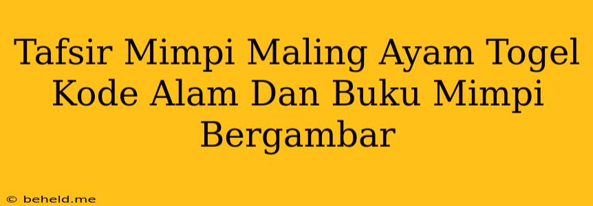 Tafsir Mimpi Maling Ayam Togel Kode Alam Dan Buku Mimpi Bergambar