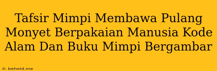 Tafsir Mimpi Membawa Pulang Monyet Berpakaian Manusia Kode Alam Dan Buku Mimpi Bergambar