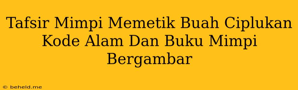 Tafsir Mimpi Memetik Buah Ciplukan Kode Alam Dan Buku Mimpi Bergambar