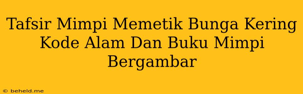 Tafsir Mimpi Memetik Bunga Kering Kode Alam Dan Buku Mimpi Bergambar