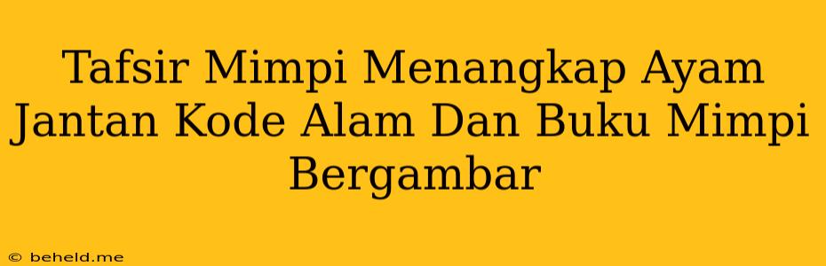 Tafsir Mimpi Menangkap Ayam Jantan Kode Alam Dan Buku Mimpi Bergambar