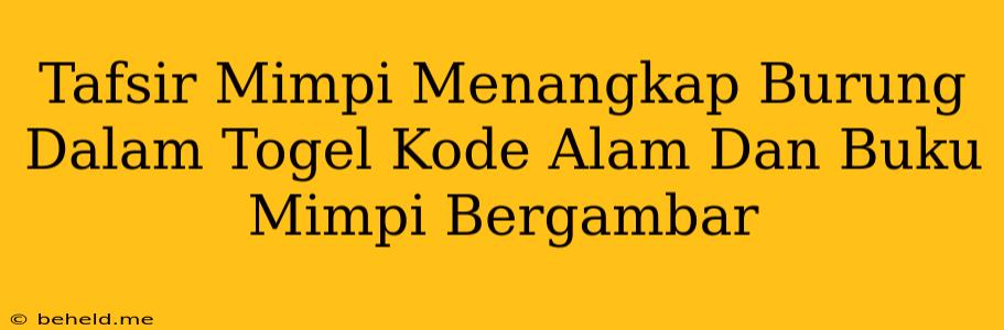 Tafsir Mimpi Menangkap Burung Dalam Togel Kode Alam Dan Buku Mimpi Bergambar