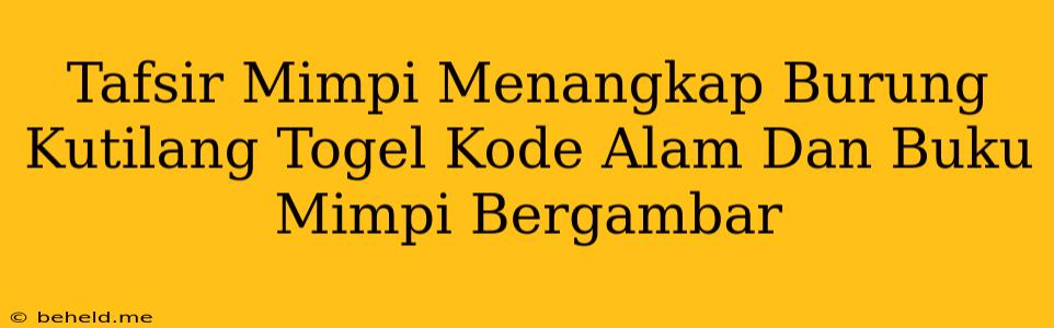 Tafsir Mimpi Menangkap Burung Kutilang Togel Kode Alam Dan Buku Mimpi Bergambar