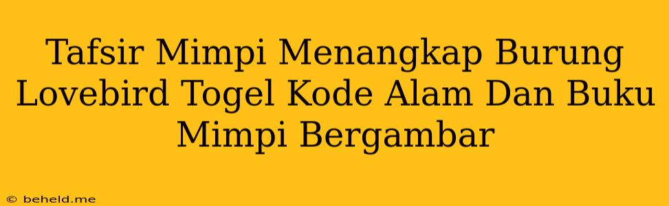 Tafsir Mimpi Menangkap Burung Lovebird Togel Kode Alam Dan Buku Mimpi Bergambar