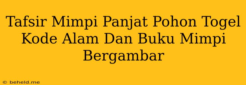 Tafsir Mimpi Panjat Pohon Togel Kode Alam Dan Buku Mimpi Bergambar