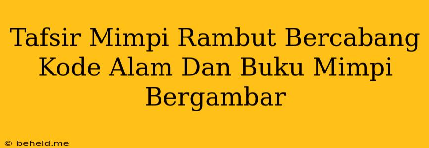 Tafsir Mimpi Rambut Bercabang Kode Alam Dan Buku Mimpi Bergambar