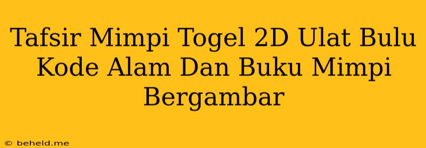 Tafsir Mimpi Togel 2D Ulat Bulu Kode Alam Dan Buku Mimpi Bergambar