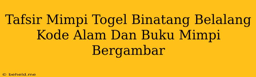 Tafsir Mimpi Togel Binatang Belalang Kode Alam Dan Buku Mimpi Bergambar