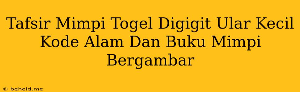 Tafsir Mimpi Togel Digigit Ular Kecil Kode Alam Dan Buku Mimpi Bergambar